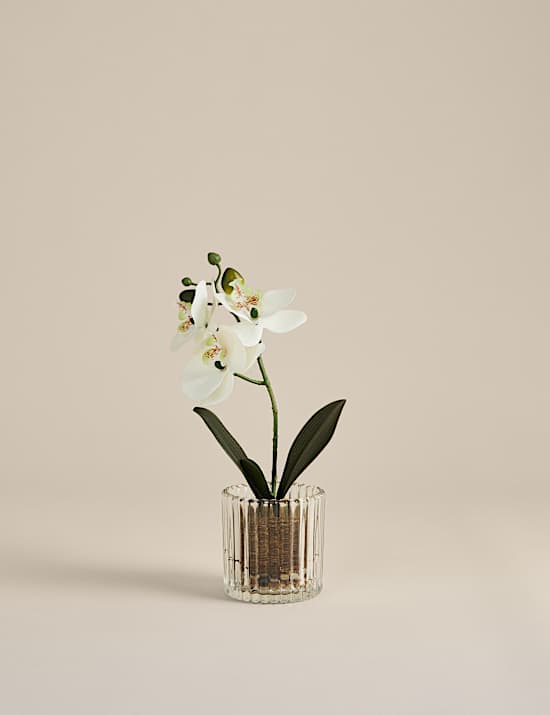 Orqu&iacute;dea peque&ntilde;a artificial en maceta de vidrio