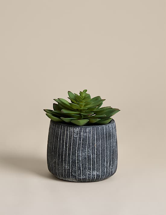 Artificial Succulent in Ridged Cement Pot