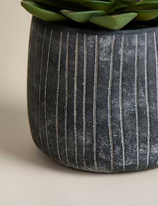 Artificial Succulent in Ridged Cement Pot
