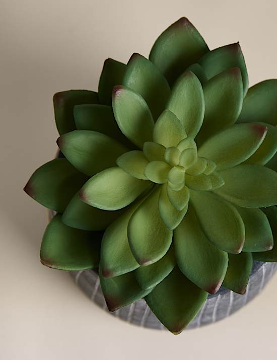 Artificial Succulent in Ridged Cement Pot