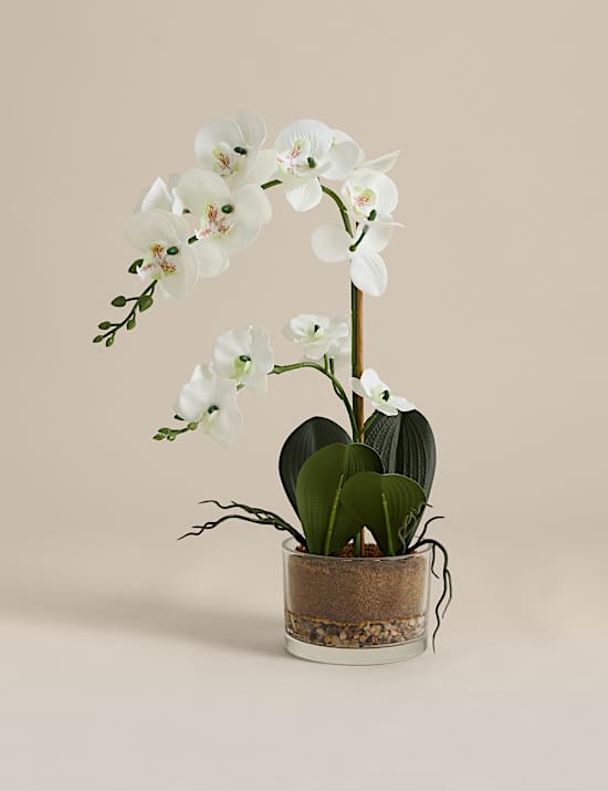 Artificial Medium Orchid in Glass Pot