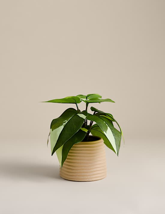 Artificial Heartleaf Philodendron in Ceramic Pot