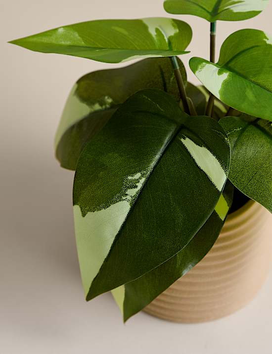 Artificial Heartleaf Philodendron in Ceramic Pot