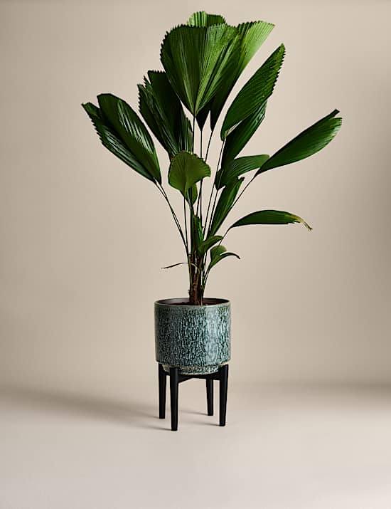 Large Reactive Glaze Ceramic Planter