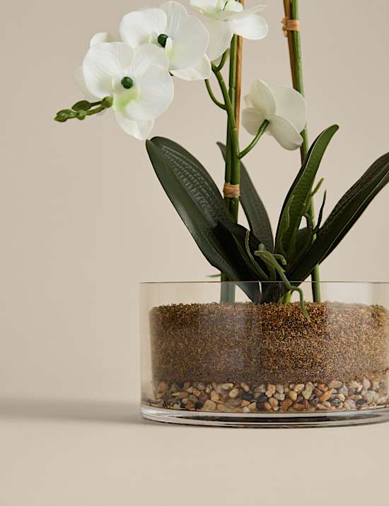 Artificial Large Orchid in Glass Pot