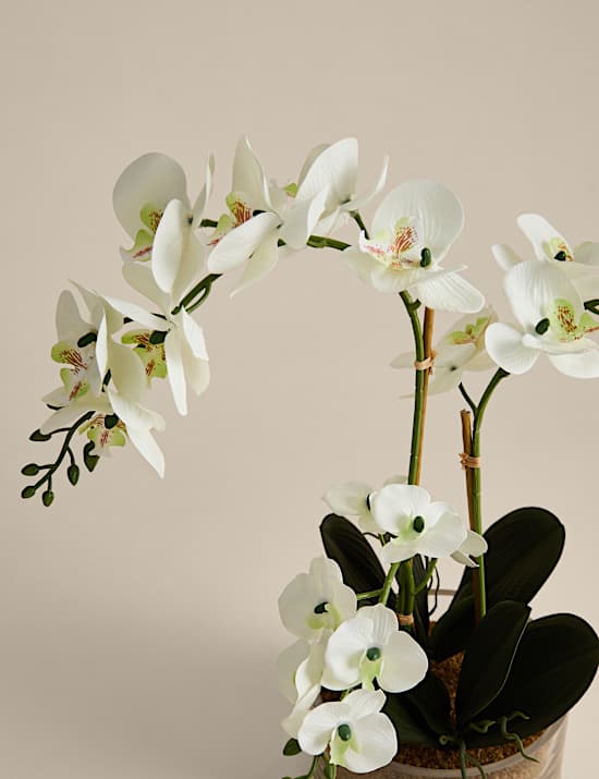 Artificial Large Orchid in Glass Pot