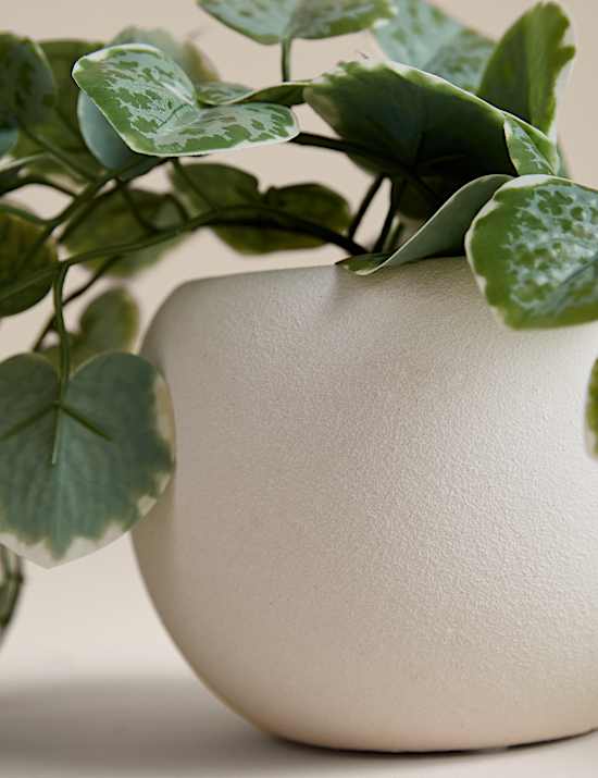 Artificial Trailing Eucalyptus in Pot
