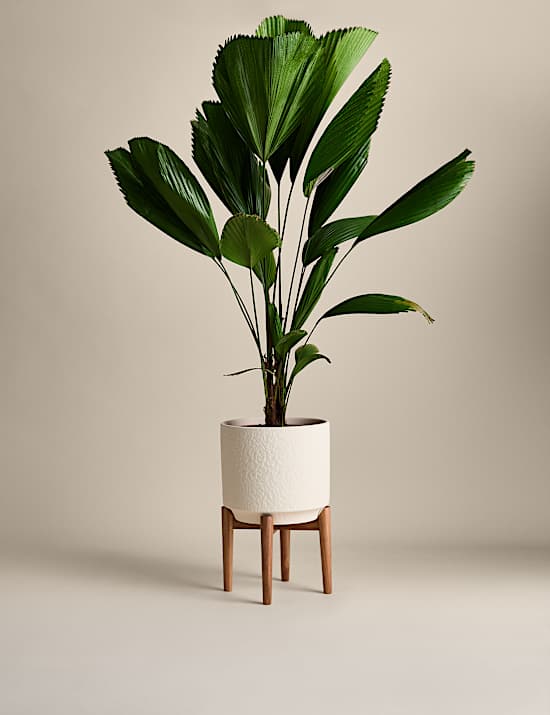 Large Reactive Glaze Ceramic Planter