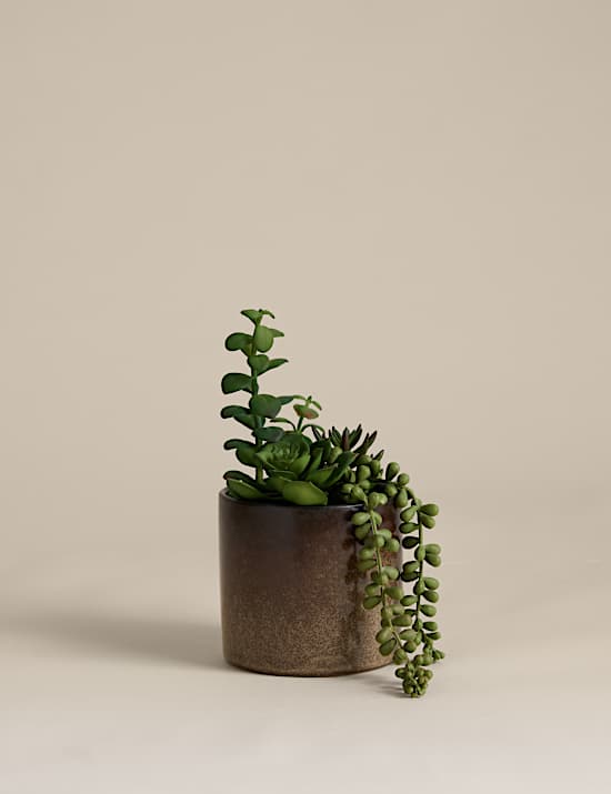 Artificial Succulent Family in Reactive Glaze Pot