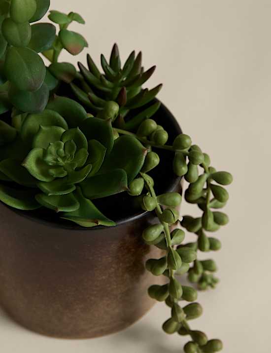 Artificial Succulent Family in Reactive Glaze Pot