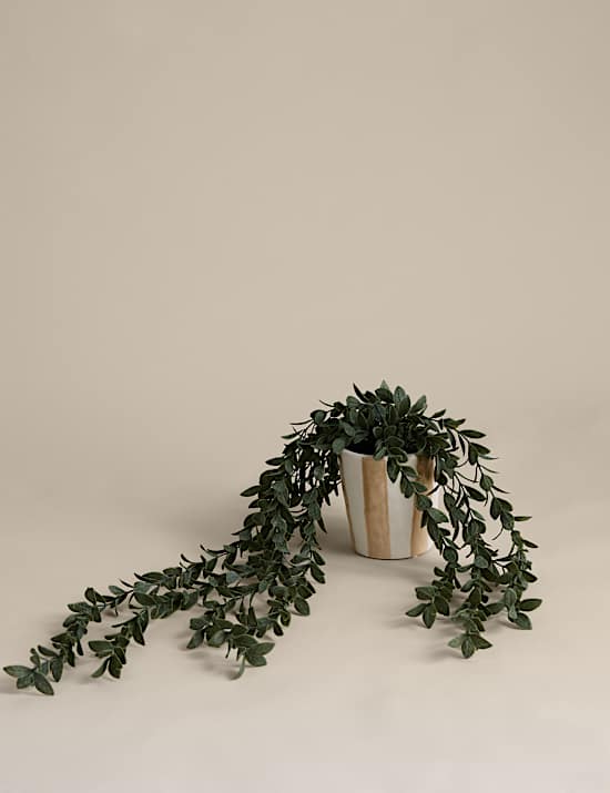 Artificial Trailing Boxwood in Stripe Ceramic Pot