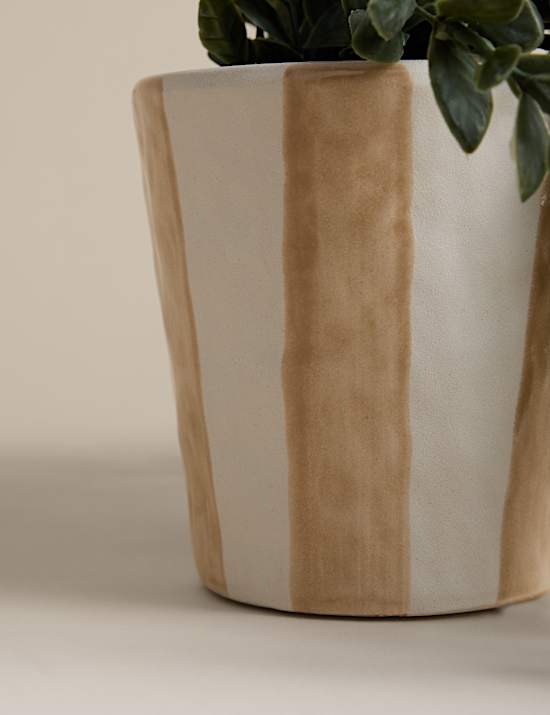 Artificial Trailing Boxwood in Stripe Ceramic Pot