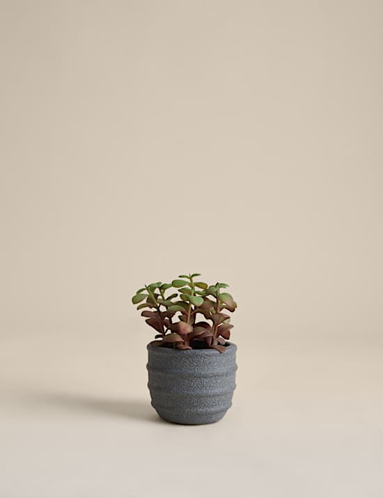 Artificial Mini Succulent in Ridged Concrete Pot