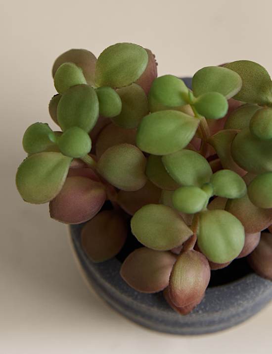 Artificial Mini Succulent in Ridged Concrete Pot