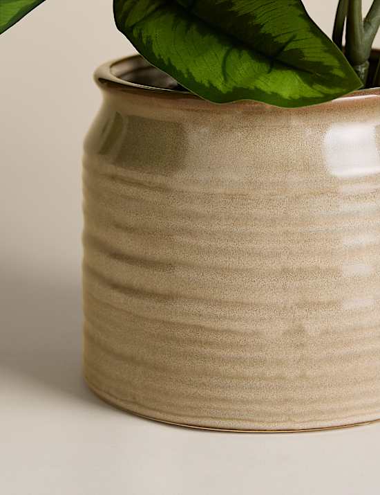 Artificial Variated Leaf Plant in Ceramic Pot