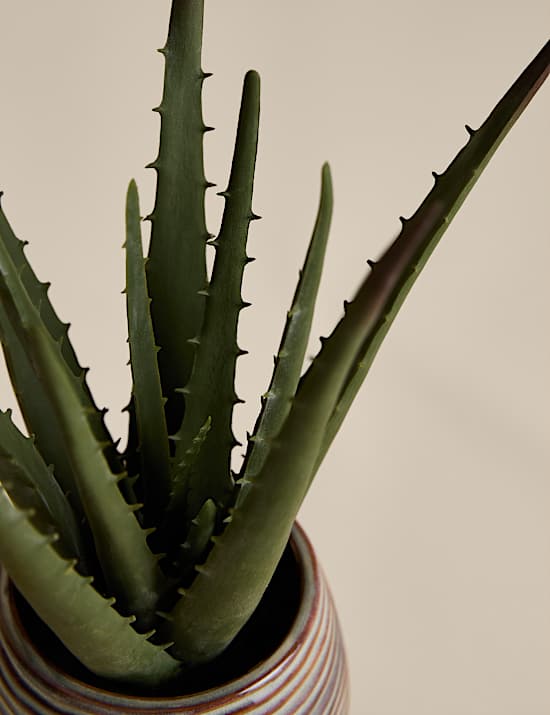 Artificial Aloe Vera in Ceramic Pot