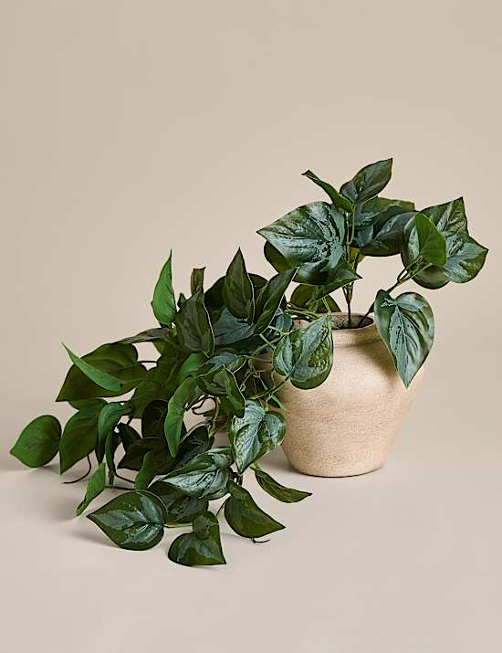 Artificial Trailing Pothos Vase