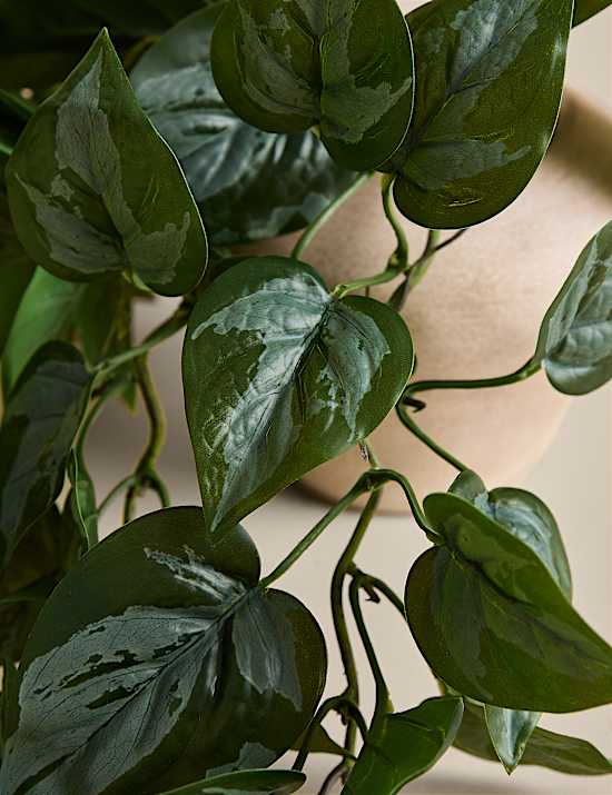 Artificial Trailing Pothos Vase