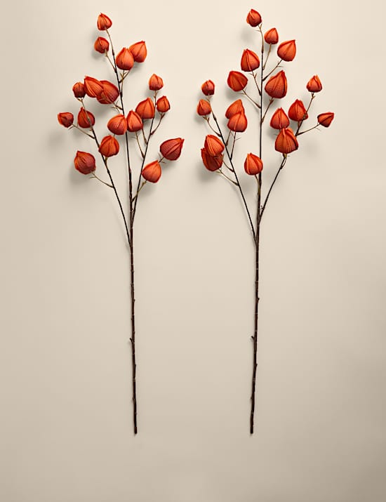2pk Artificial Chinese Lantern Single Stems