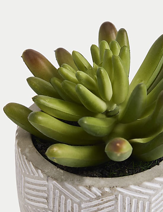 &Tau;&sigma;&iota;&mu;&epsilon;&nu;&tau;έ&nu;&iota;&alpha; &gamma;&lambda;ά&sigma;&tau;&rho;&alpha; &mu;&epsilon; &mu;ί&nu;&iota; &tau;&epsilon;&chi;&nu;&eta;&tau;ό &pi;&alpha;&chi;ύ&phi;&upsilon;&tau;&omicron;