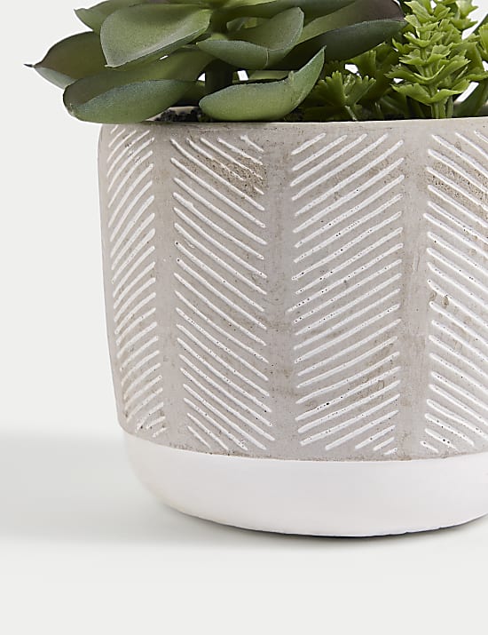 &Kappa;ή&pi;&omicron;&sigmaf; &mu;&epsilon; &tau;&epsilon;&chi;&nu;&eta;&tau;ά &pi;&alpha;&chi;ύ&phi;&upsilon;&tau;&alpha;