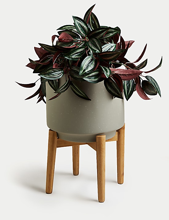 Large Ceramic Planter with Stand