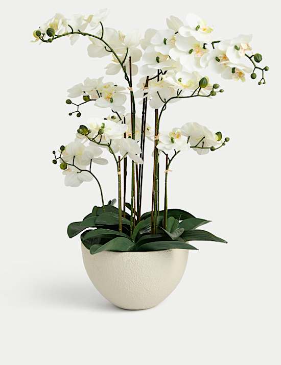 Artificial Extra Large Orchid in Ceramic Pot