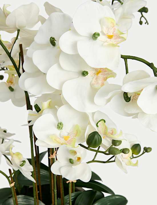 Künstliche übergroße Orchidee in Keramiktopf