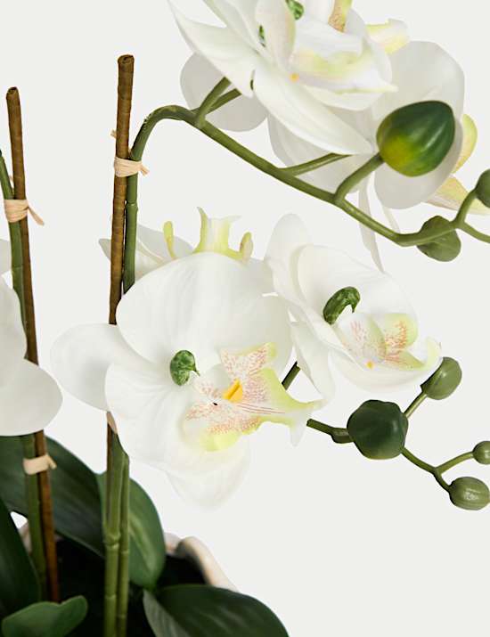 Artificial Orchid Arrangement in Ceramic Pot