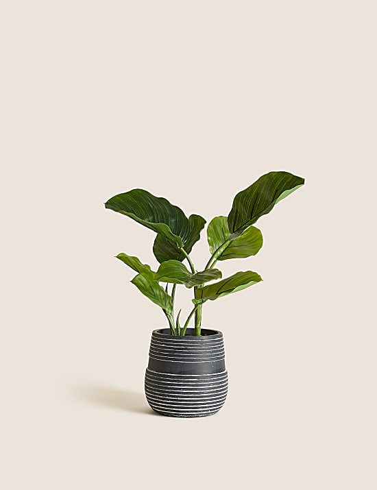 Artificial Calathea Plant in Concrete Pot