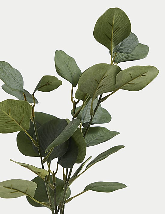 &Tau;&epsilon;&chi;&nu;&eta;&tau;ό &phi;&upsilon;&tau;ό &epsilon;&upsilon;&kappa;ά&lambda;&upsilon;&pi;&tau;&omicron;&sigmaf; &sigma;&epsilon; &delta;&iota;&alpha;&mu;&omicron;&rho;&phi;&omega;&mu;έ&nu;&omicron; &beta;ά&zeta;&omicron;