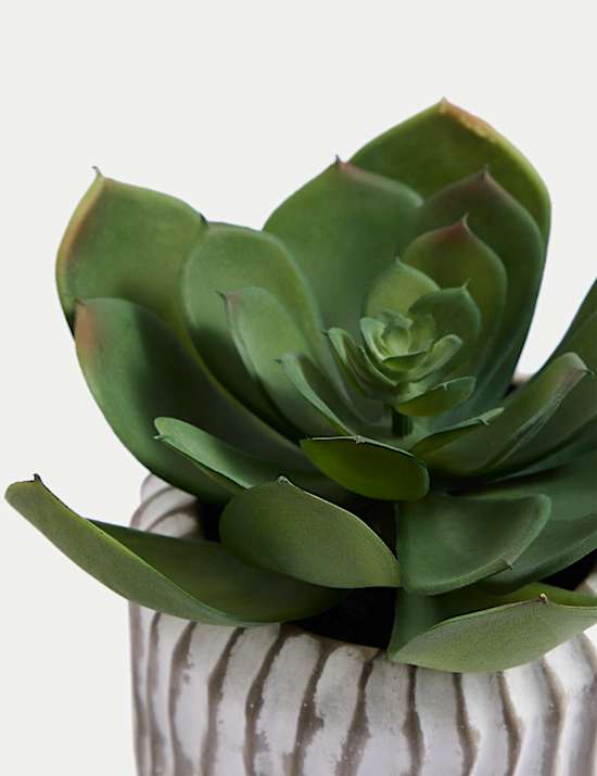 &Tau;&sigma;&iota;&mu;&epsilon;&nu;&tau;έ&nu;&iota;&alpha; &gamma;&lambda;ά&sigma;&tau;&rho;&alpha; &mu;&epsilon; &tau;&epsilon;&chi;&nu;&eta;&tau;ό &pi;&alpha;&chi;ύ&phi;&upsilon;&tau;&omicron;