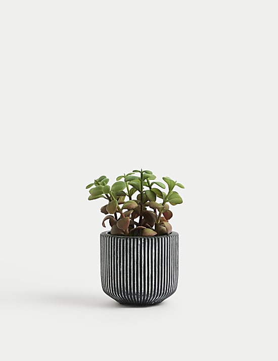 &Mu;ί&nu;&iota; &tau;&epsilon;&chi;&nu;&eta;&tau;ό &pi;&alpha;&chi;ύ&phi;&upsilon;&tau;&omicron;