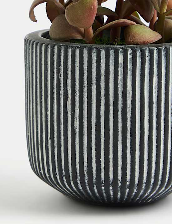 &Mu;ί&nu;&iota; &tau;&epsilon;&chi;&nu;&eta;&tau;ό &pi;&alpha;&chi;ύ&phi;&upsilon;&tau;&omicron;