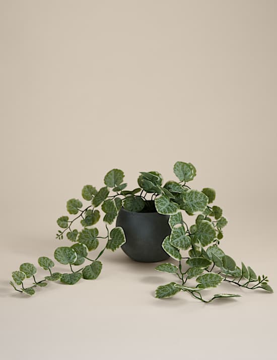Artificial Trailing Eucalyptus in Ceramic Pot