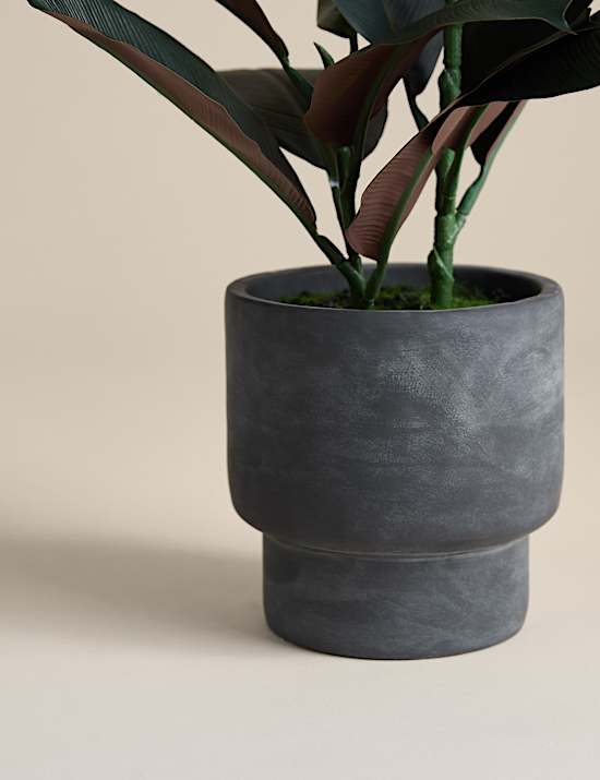 Künstlicher Gummibaum in Zementtopf