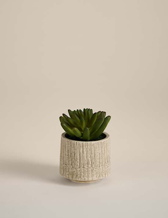 Petite plante grasse artificielle dans un pot en céramique texturée