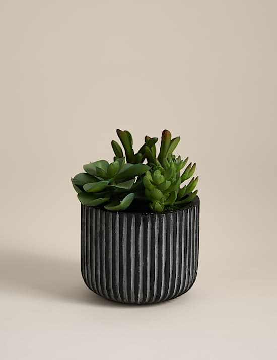 Artificial Succulents in Ridged Cement Pot