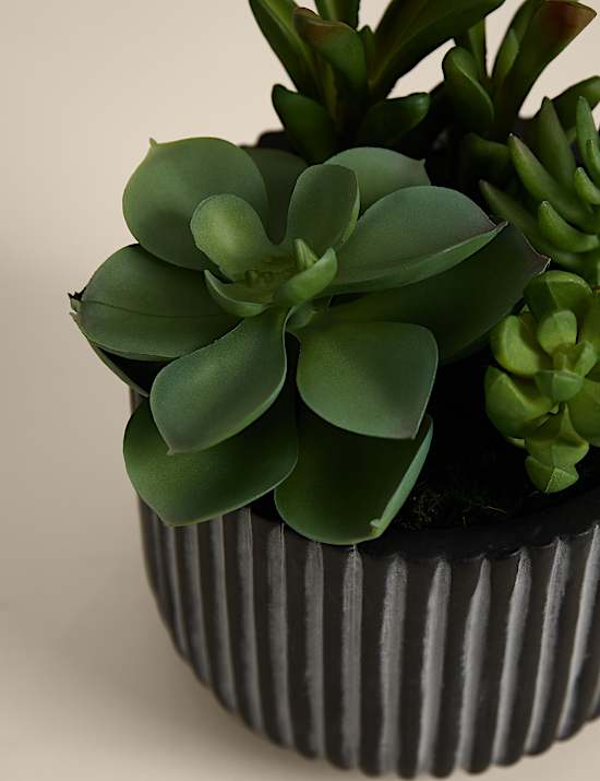 Artificial Succulents in Ridged Cement Pot