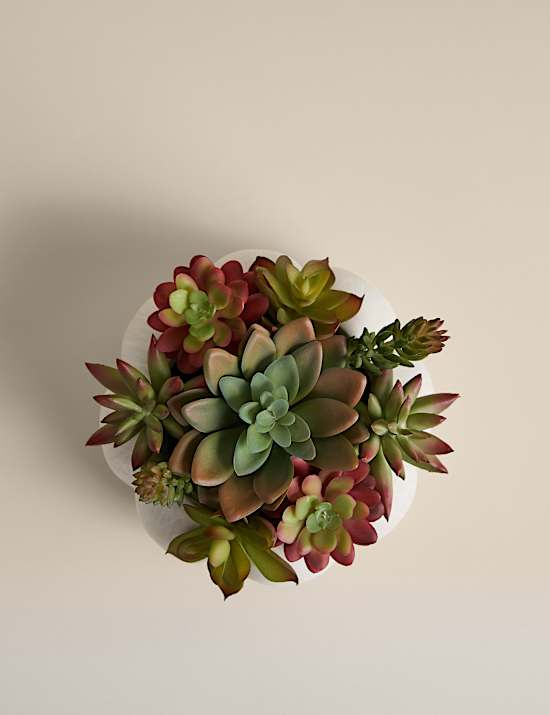 Kunstvetplanten in betonnen pot