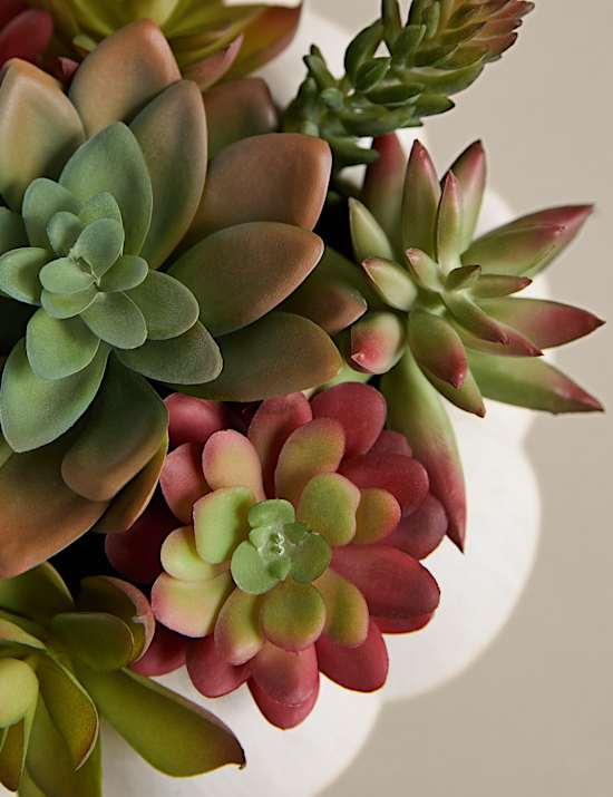 Kunstvetplanten in betonnen pot