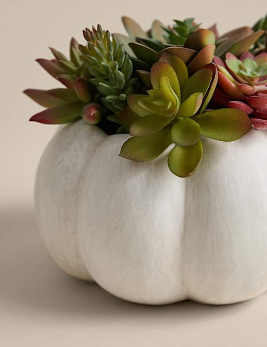 Kunstvetplanten in betonnen pot