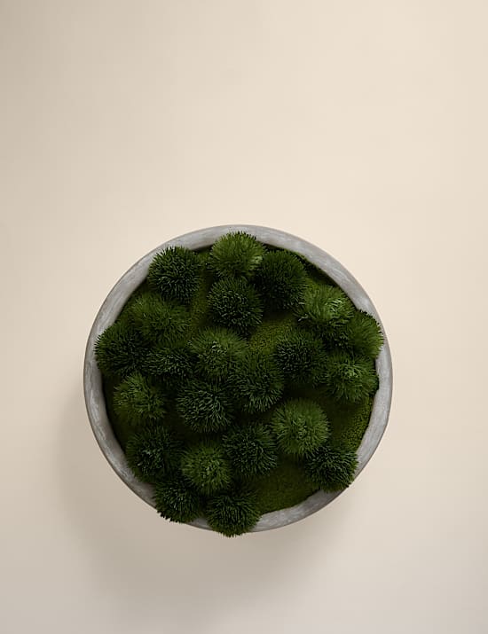 Kunstmoos in großer Betonschüssel