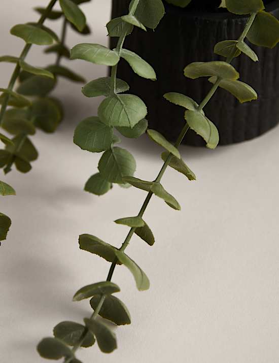 Artificial Trailing Baby Plant in Textured Ceramic Pot