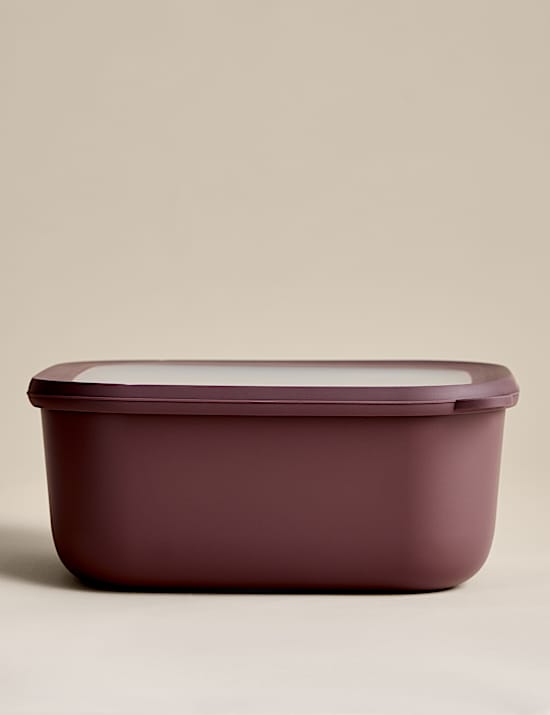 Large Plastic Storage Container