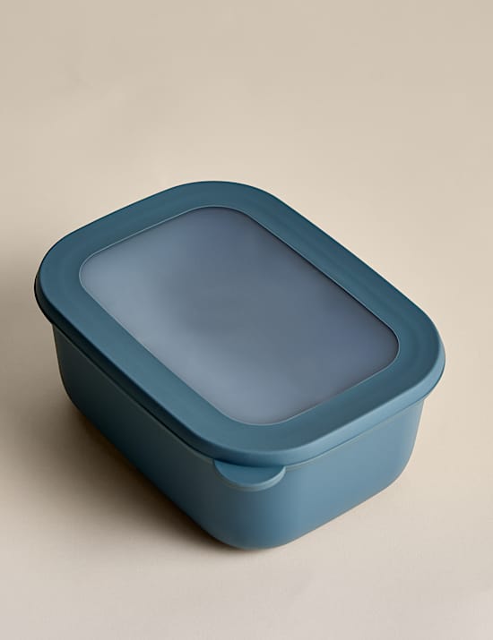 Medium Plastic Storage Container