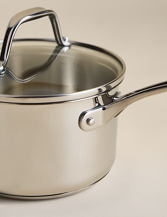 Stainless Steel 16cm Saucepan