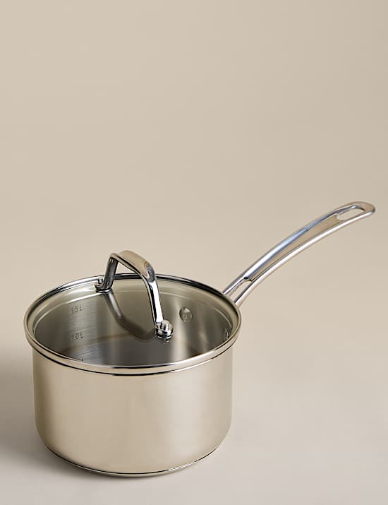 Stainless Steel 16cm Saucepan