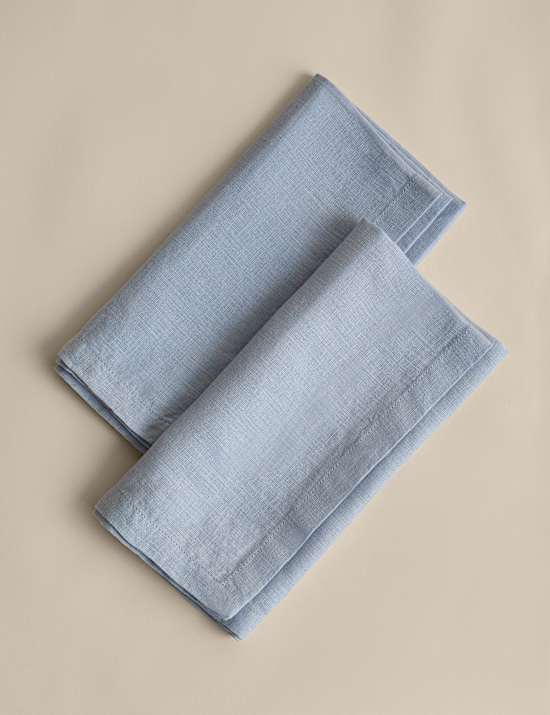 Set of 2 Pure Linen Napkins