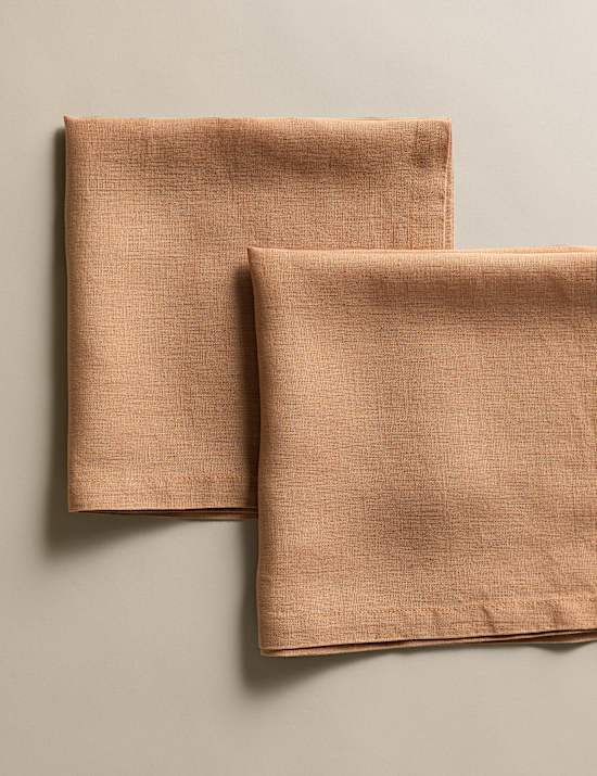 Set of 2 Pure Linen Napkins
